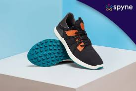 shoe
